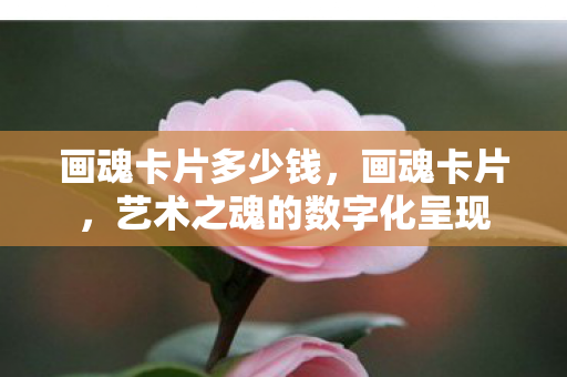 画魂卡片多少钱，画魂卡片，艺术之魂的数字化呈现