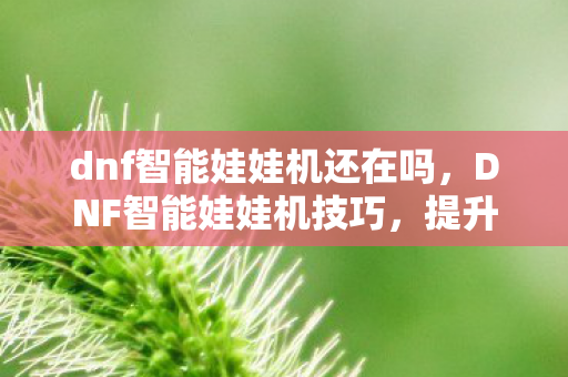 提升中奖率与节省金币的实用策略图片