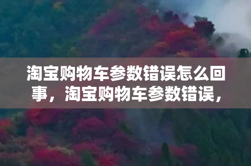 淘宝购物车参数错误怎么回事图片
