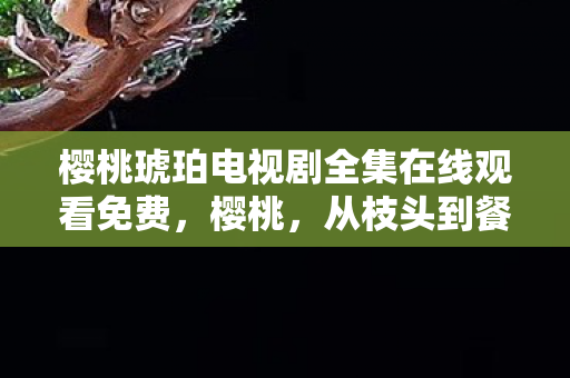 樱桃琥珀电视剧全集在线观看免费图片