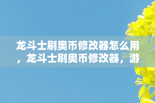 龙斗士刷奥币修改器怎么用图片