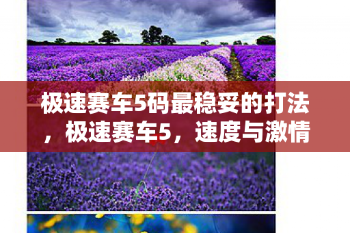 极速赛车5码最稳妥的打法,极速赛车5,速度与激情的极限挑战 极速赛车5码最稳妥的打法,极速赛车5,速度与激情的极限挑战