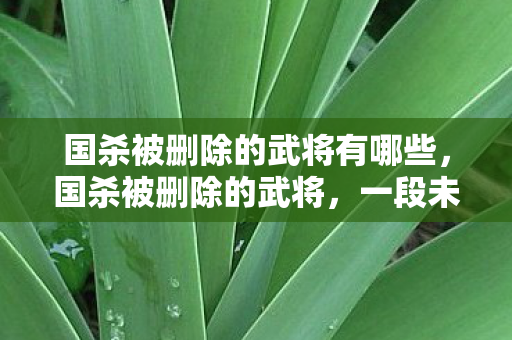 国杀被删除的武将有哪些图片