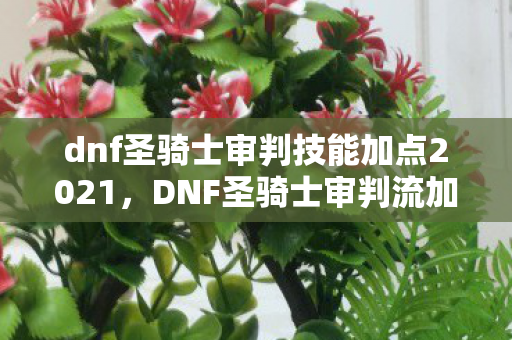 dnf圣骑士审判技能加点2021图片