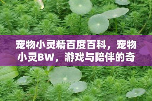 游戏与陪伴的奇妙融合图片
