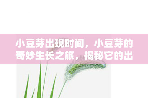 小豆芽出现时间，小豆芽的奇妙生长之旅，揭秘它的出现时间