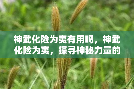 神武化险为夷有用吗，神武化险为夷，探寻神秘力量的奇幻之旅