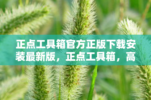 正点工具箱官方正版下载安装最新版，正点工具箱，高效办公与创意设计的得力助手