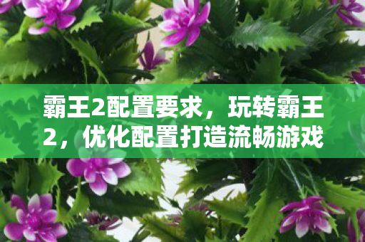 霸王2配置要求，玩转霸王2，优化配置打造流畅游戏体验