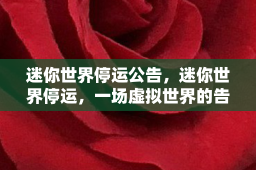 一场虚拟世界的告别图片