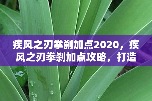 疾风之刃拳刹加点2020图片