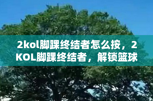 2kol脚踝终结者怎么按图片