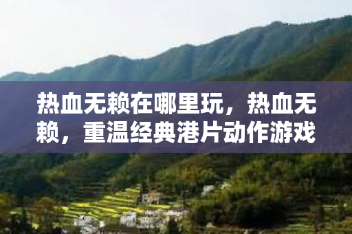 重温经典港片动作游戏的绝佳选择图片