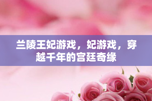 穿越千年的宫廷奇缘图片