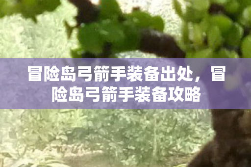 冒险岛弓箭手装备出处，冒险岛弓箭手装备攻略