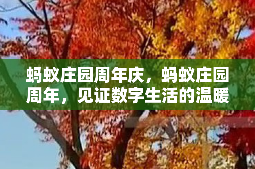 见证数字生活的温暖与成长图片