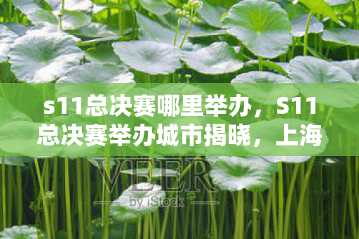 s11总决赛哪里举办，S11总决赛举办城市揭晓，上海迎来全球电竞盛宴