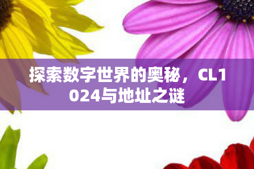探索数字世界的奥秘,CL1024与地址之谜 探索数字世界的奥秘,CL1024与地址之谜