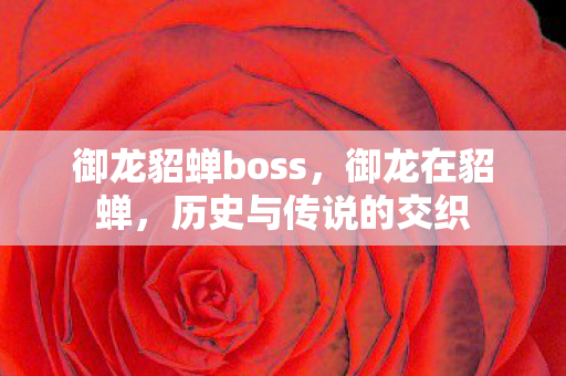 御龙貂蝉boss，御龙在貂蝉，历史与传说的交织