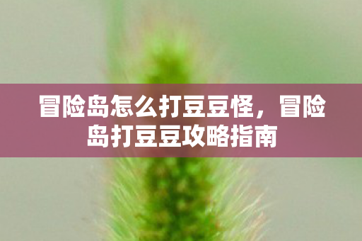 冒险岛怎么打豆豆怪，冒险岛打豆豆攻略指南