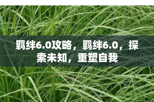 羁绊6.0攻略，羁绊6.0，探索未知，重塑自我
