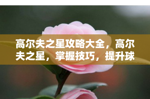 高尔夫之星攻略大全，高尔夫之星，掌握技巧，提升球技的全方位攻略