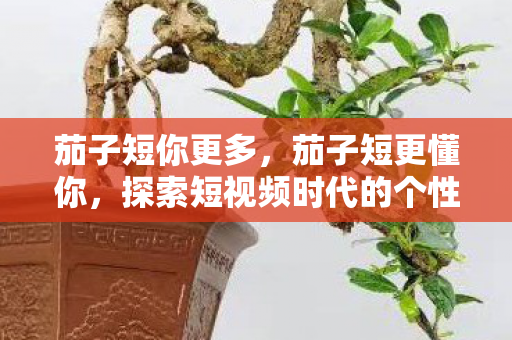 茄子短你更多，茄子短更懂你，探索短视频时代的个性化推荐