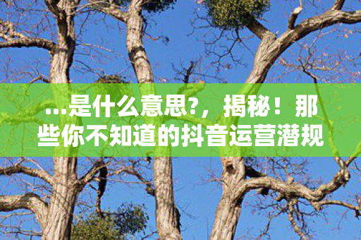 ...是什么意思?，揭秘！那些你不知道的抖音运营潜规则