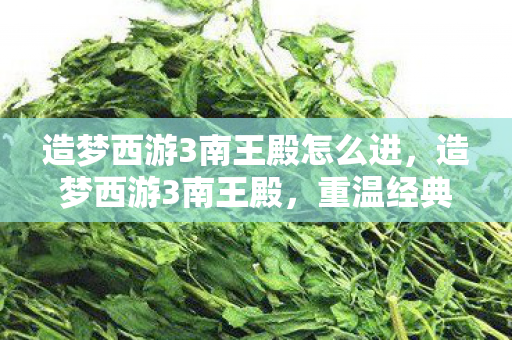 造梦西游3南王殿怎么进,造梦西游3南王殿,重温经典,探寻神秘传说 造梦西游3南王殿怎么进,造梦西游3南王殿,重温经典,探寻神秘传说