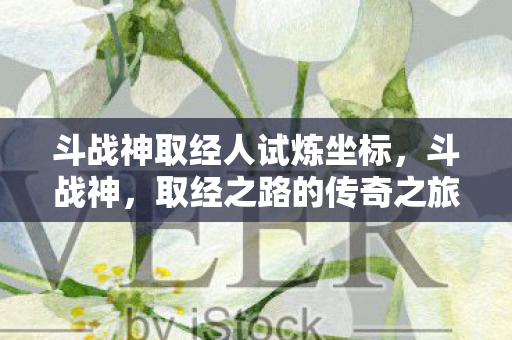 斗战神取经人试炼坐标，斗战神，取经之路的传奇之旅