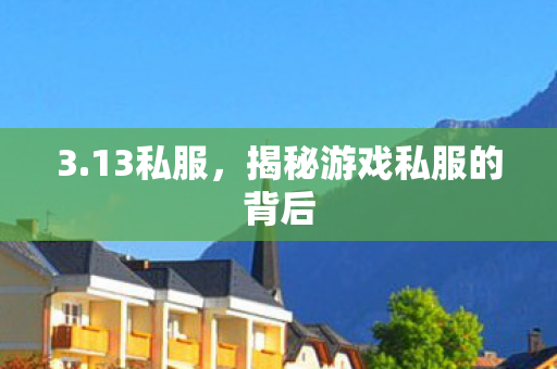 3.13私服，揭秘游戏私服的背后