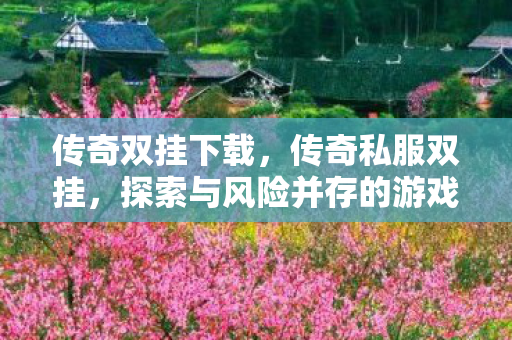 传奇双挂下载,传奇私服双挂,探索与风险并存的游戏世界 传奇双挂下载,传奇私服双挂,探索与风险并存的游戏世界