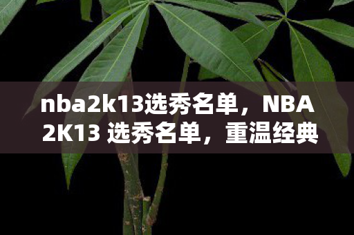 NBA 2K13 选秀名单图片