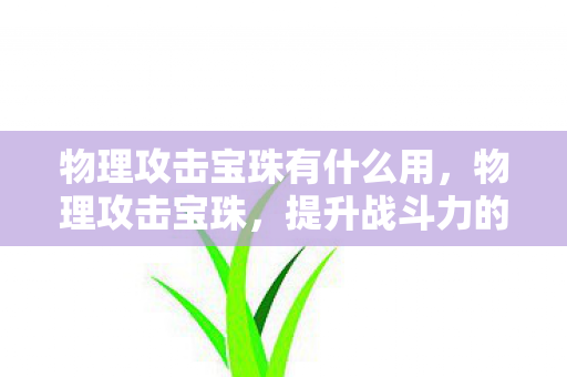 物理攻击宝珠有什么用图片
