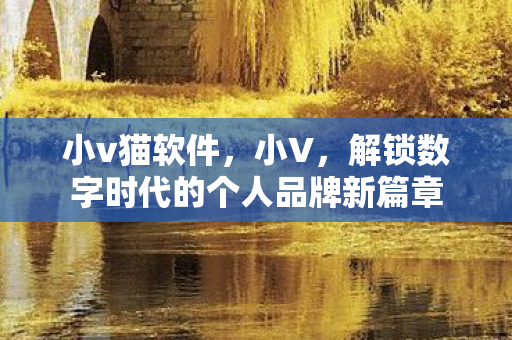 解锁数字时代的个人品牌新篇章图片