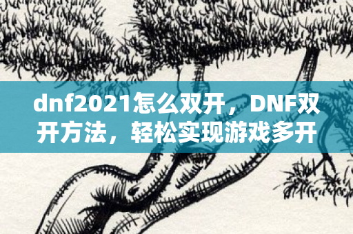 dnf2021怎么双开图片