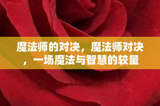 魔法师的对决，魔法师对决，一场魔法与智慧的较量
