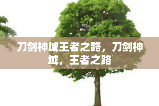 刀剑神域王者之路，刀剑神域，王者之路