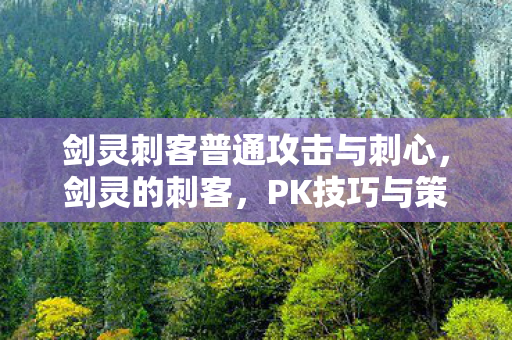 剑灵刺客普通攻击与刺心,剑灵的刺客,PK技巧与策略 剑灵刺客普通攻击与刺心,剑灵的刺客,PK技巧与策略