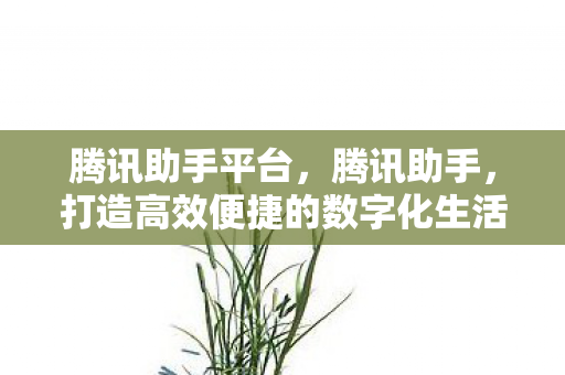 打造高效便捷的数字化生活图片