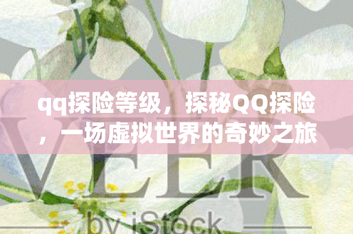 qq探险等级，探秘QQ探险，一场虚拟世界的奇妙之旅