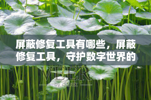 屏蔽修复工具有哪些，屏蔽修复工具，守护数字世界的隐形盾牌