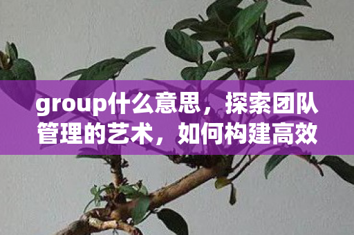 group什么意思，探索团队管理的艺术，如何构建高效协作的Group