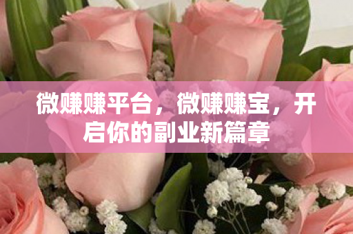 微赚赚平台，微赚赚宝，开启你的副业新篇章