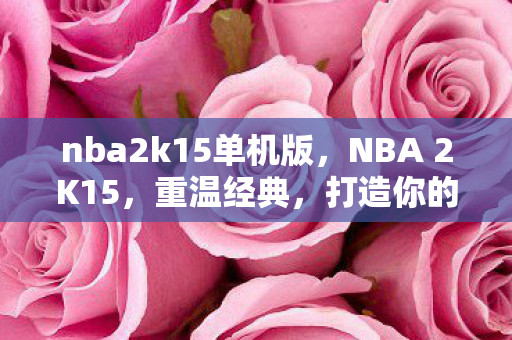 nba2k15单机版，NBA 2K15，重温经典，打造你的梦幻阵容