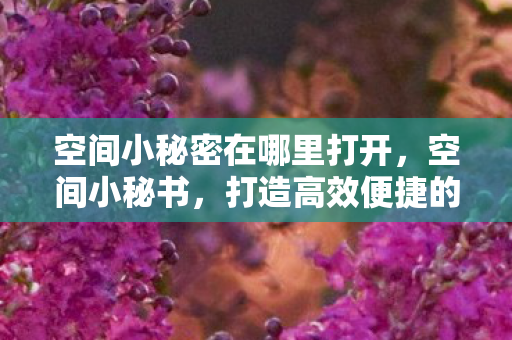 空间小秘密在哪里打开，空间小秘书，打造高效便捷的移动办公新体验