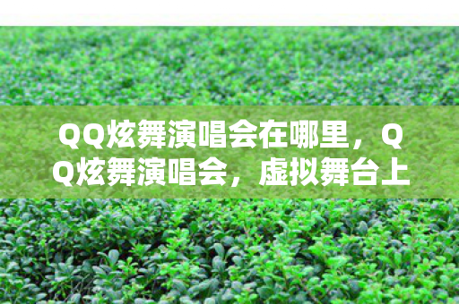 QQ炫舞演唱会在哪里，QQ炫舞演唱会，虚拟舞台上的音乐盛宴