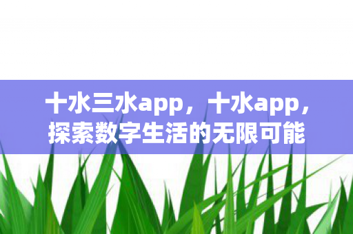 十水三水app，十水app，探索数字生活的无限可能