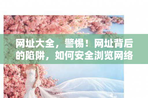 网址大全,警惕!网址背后的陷阱,如何安全浏览网络 网址大全,警惕!网址背后的陷阱,如何安全浏览网络