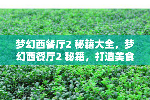 梦幻西餐厅2 秘籍大全，梦幻西餐厅2 秘籍，打造美食帝国的不败秘籍
